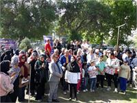 جشنواره ورزشی بازنشستگان در اردبیل 2